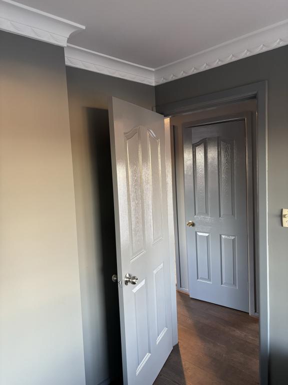 Interior doors and crown molding